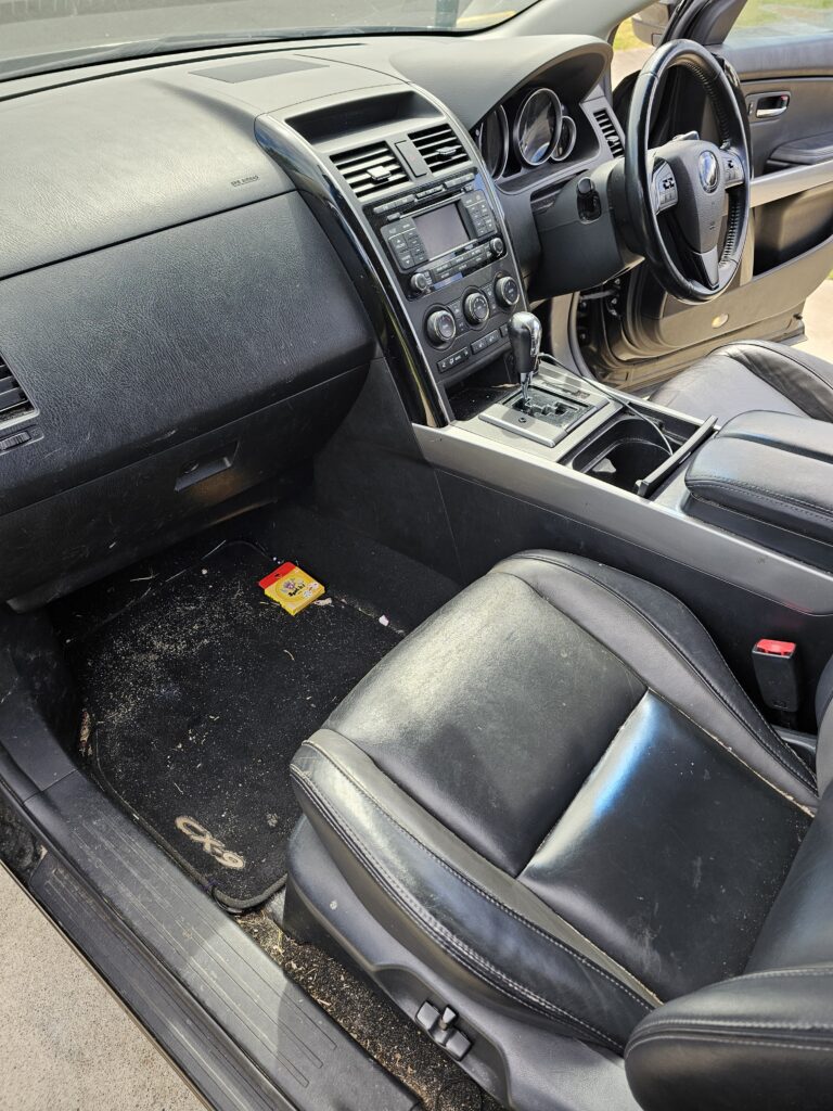 DIRTY INTERIOR